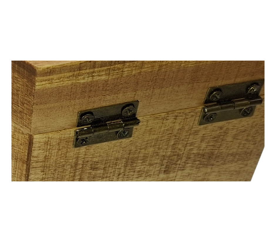 Close up of the hinges on the rear of the box