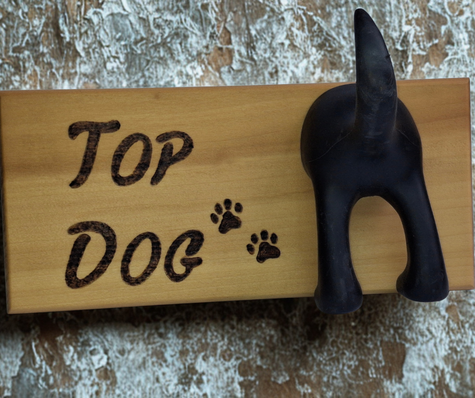 A hand-burnt wooden plaque with the words "Top Dog" and two paw prints, featuring a unique rubber dog bum and tail for hanging leads. The plaque has a rustic, natural finish, highlighting the visible wood grain.